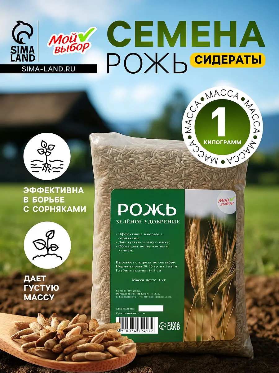 

Семена рожь