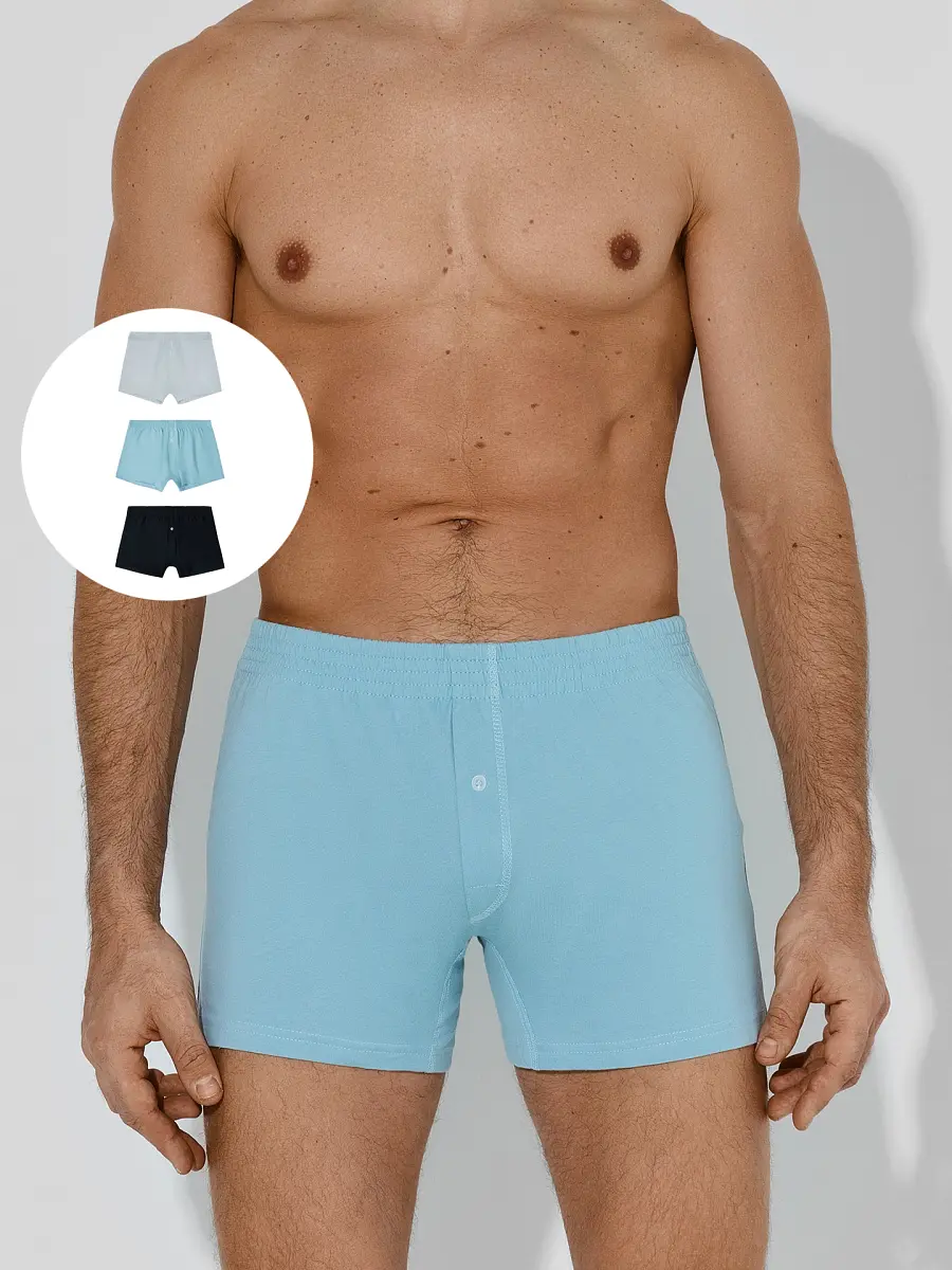 

Трусы мужские (3шт), Голубой;черный;полынь +лунный луч +черный