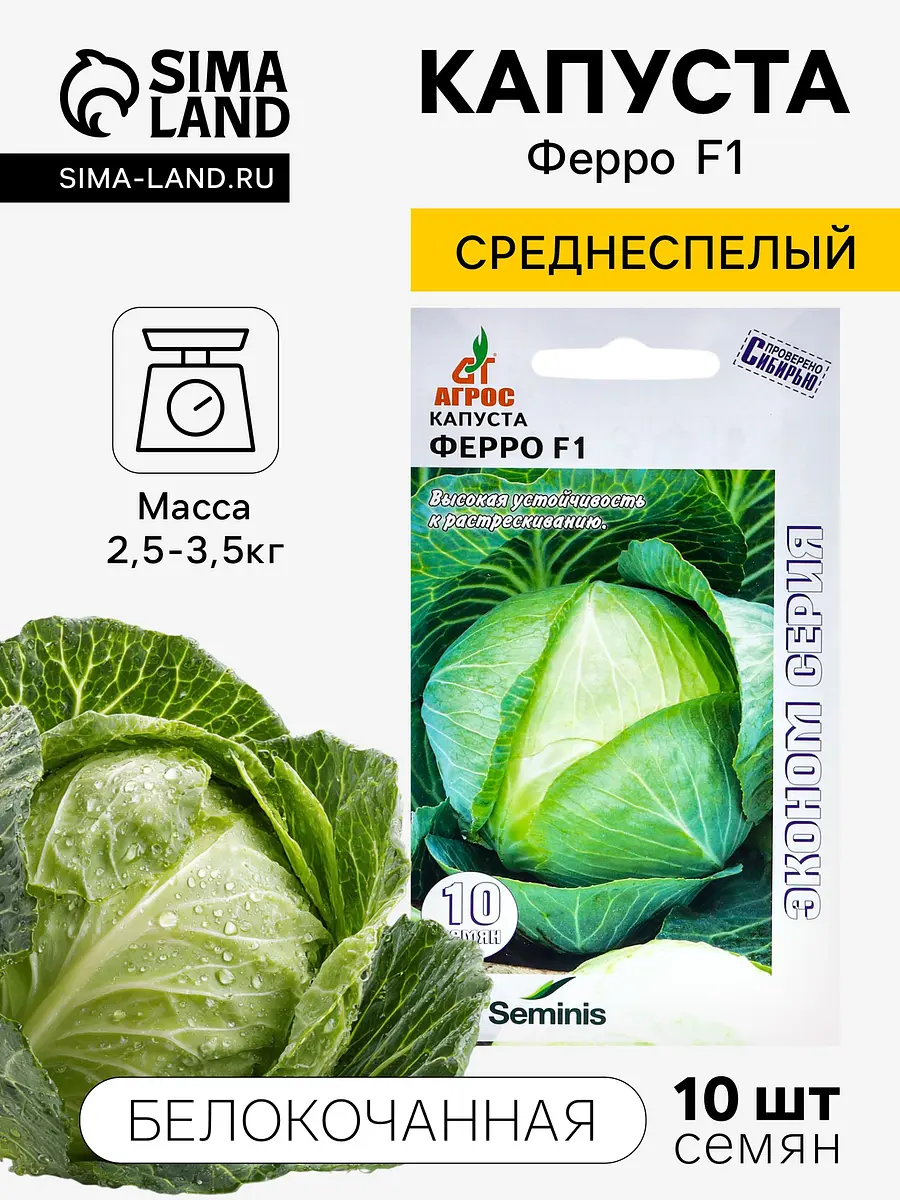 

Семена капуста белокочанная