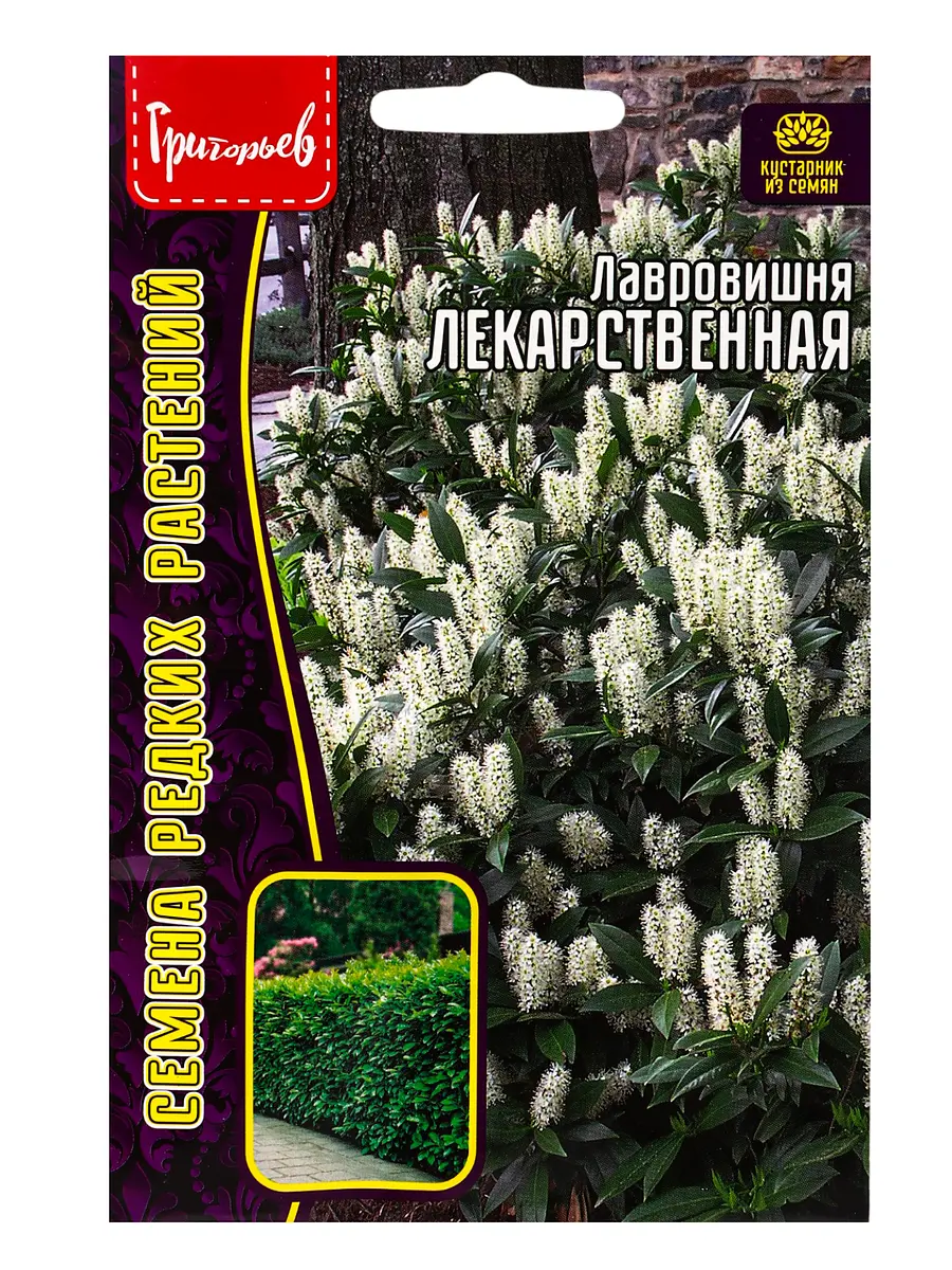 

Семена цветов лавровишня лекарственная 3 шт. / новинка 12.29 г., Белый
