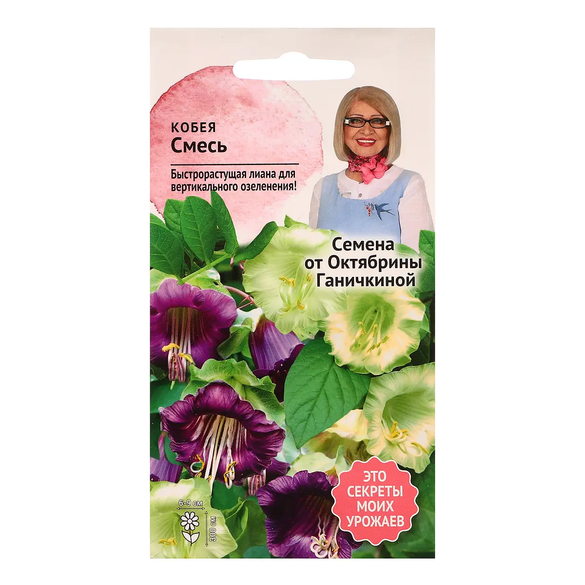 

Семена цветов кобея, Фиолетовый