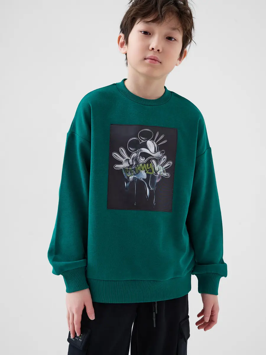 

Толстовка трикотажная, Зеленый;темно-зеленый