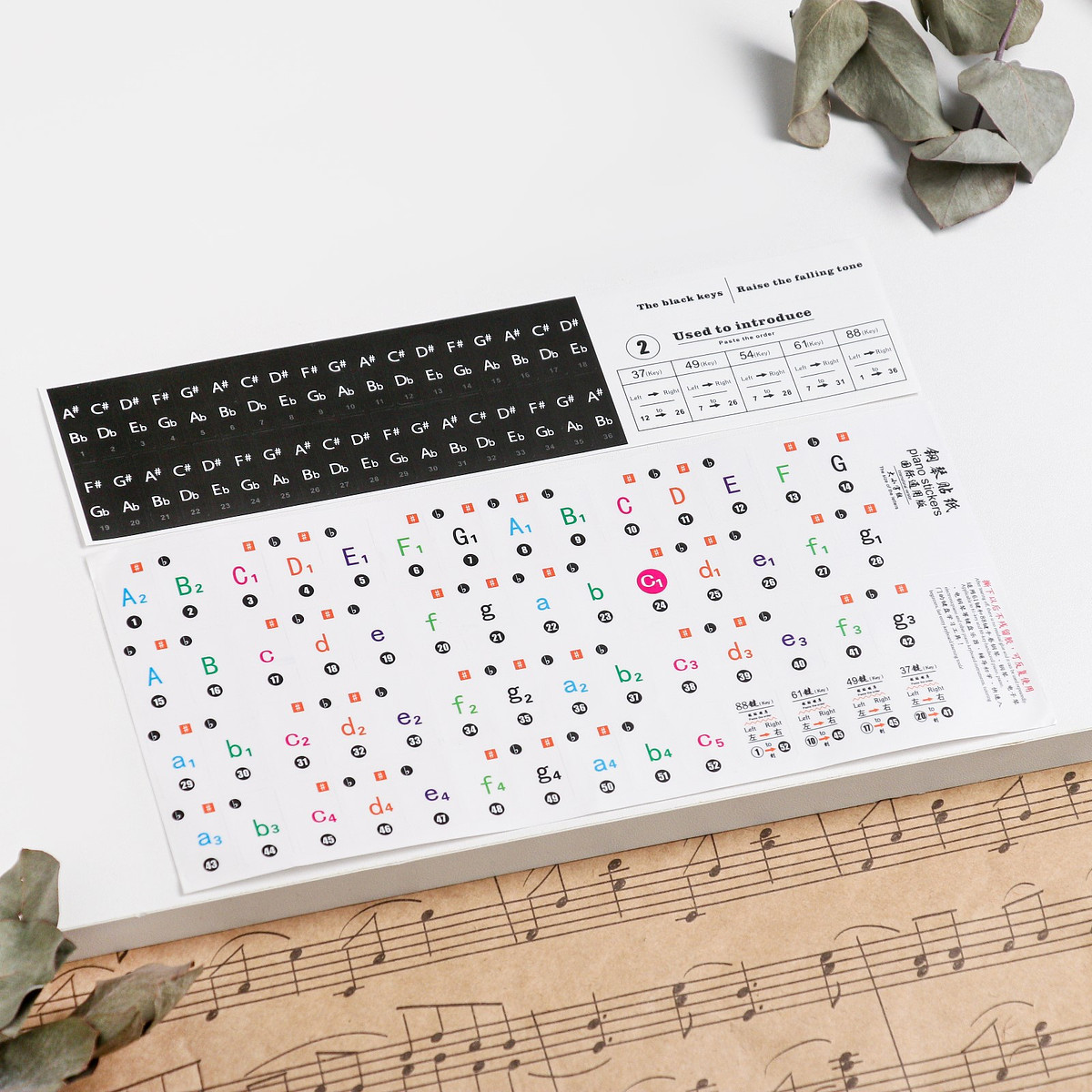 

Наклейки на клавиши пианино, цветные