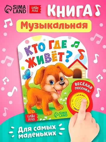 Музыкальная книга