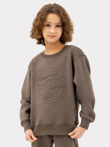 Джемпер для мальчиков коричневый с печат