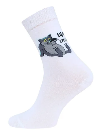 Носки мужские БРЕСТСКИЕ СОЮЗМУЛЬТФИЛЬМ 2