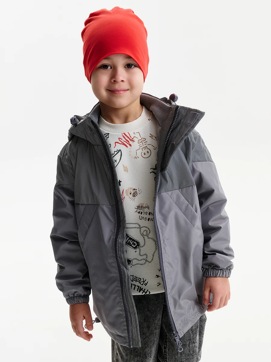 

Ветровка, Серый