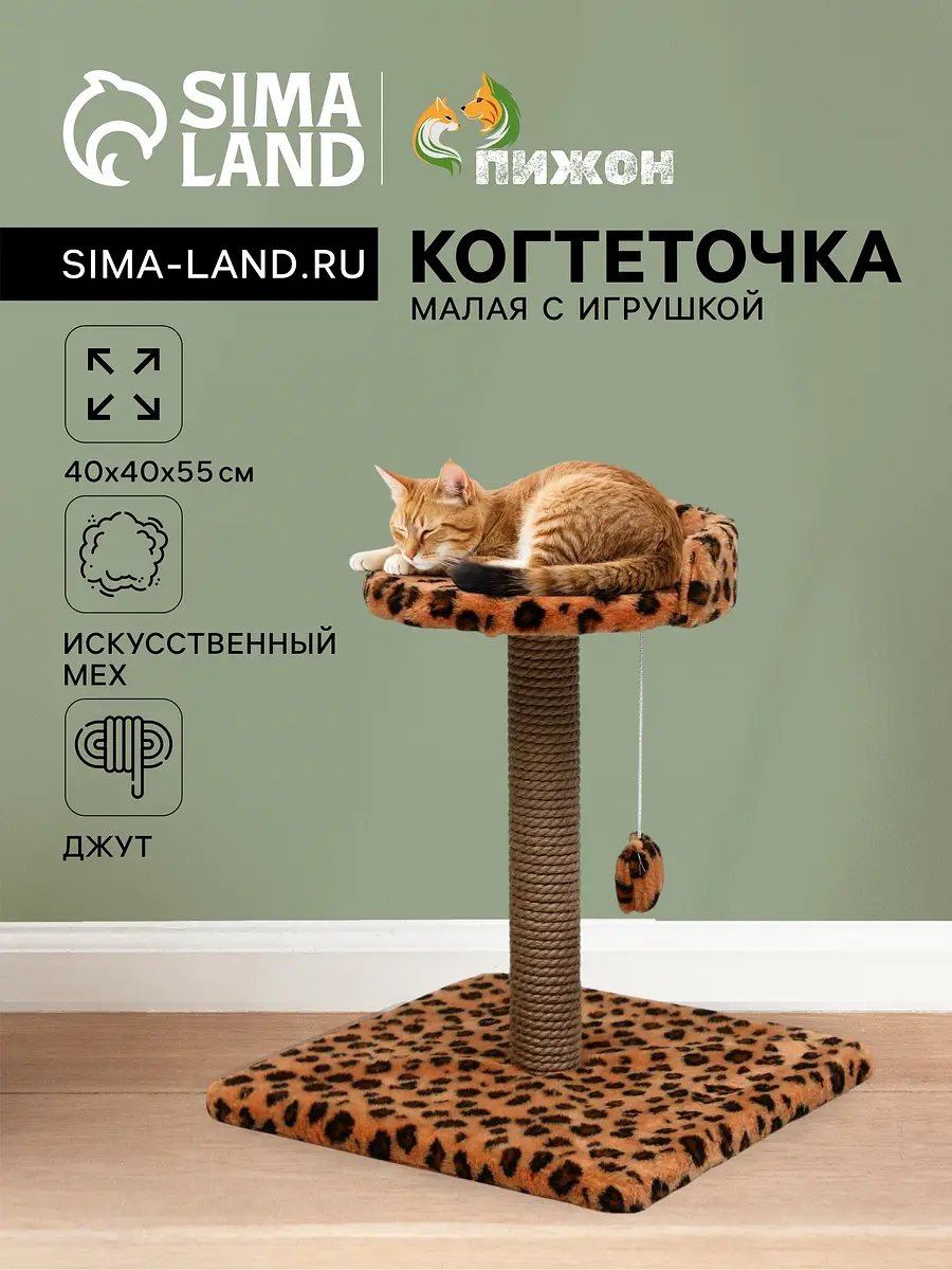 

Когтеточка малая, Оранжевый